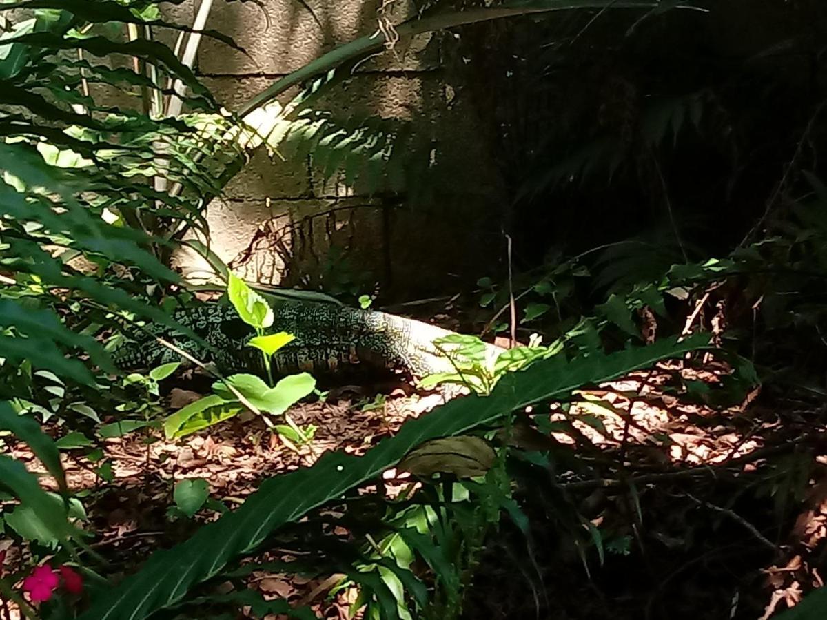 Casa Alquiler En Bombas Bombinhas Villa Luaran gambar